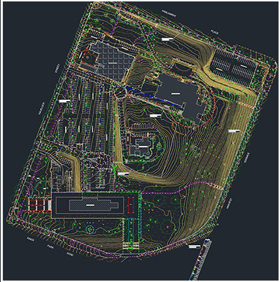 Feature Survey of a 9-Hectare site